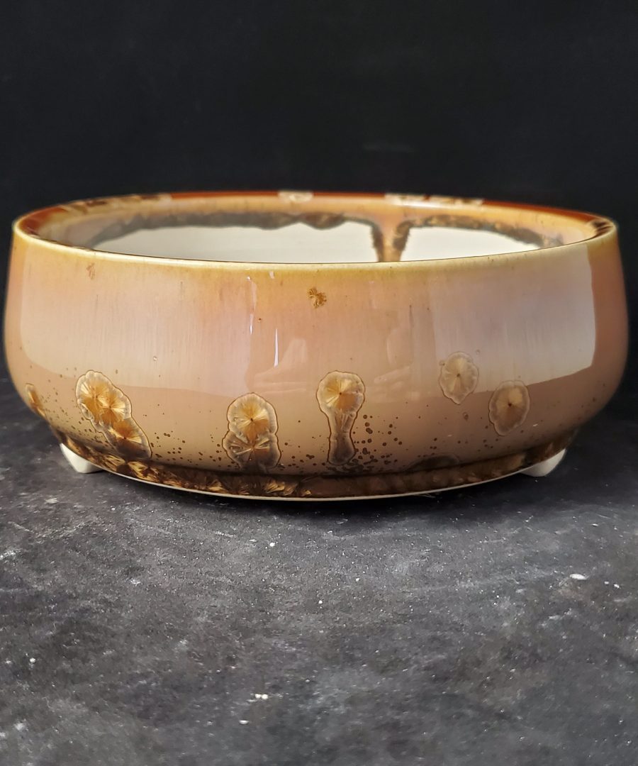 Flower-motif Artisanal Ceramic Bonsai Pot