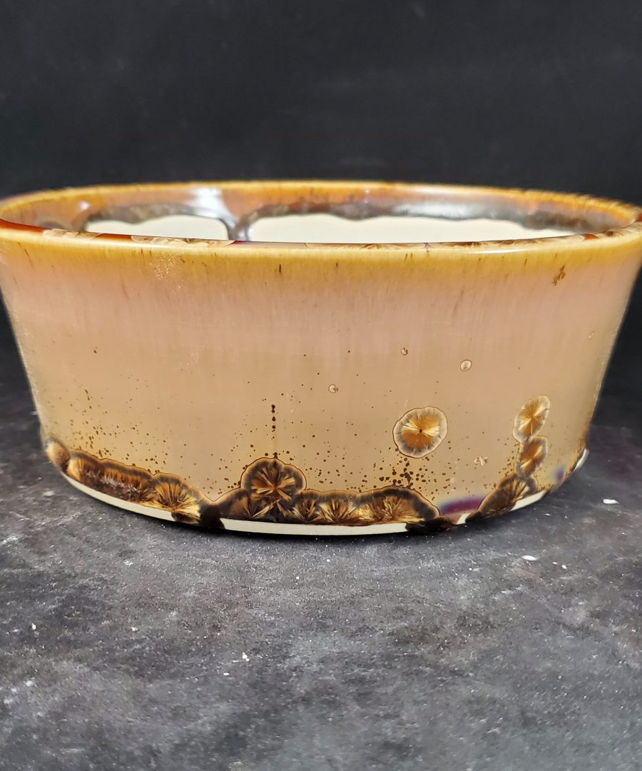 Artisanal Starburst-motif Ceramic Bonsai Pot