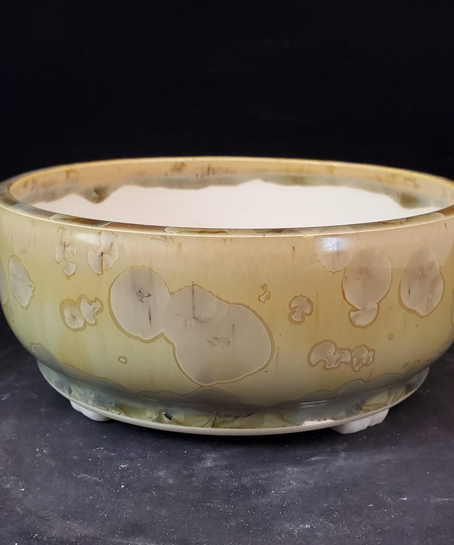 Circular-motif Marbled Ceramic Bonsai Pot