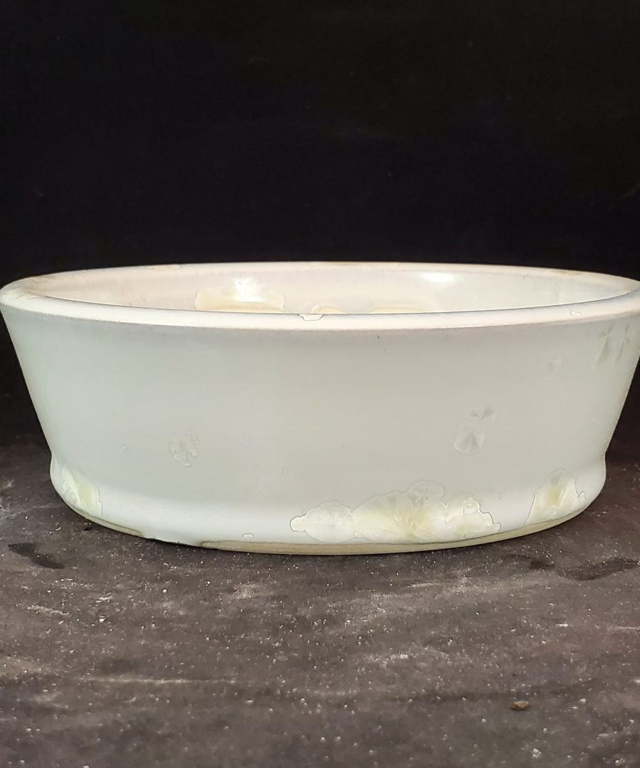 Botanical-motif Ceramic Bonsai Pot