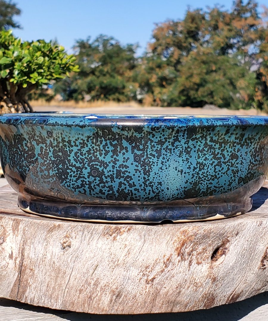 Organic-speckled Circular-pattern Ceramic Bonsai Pot