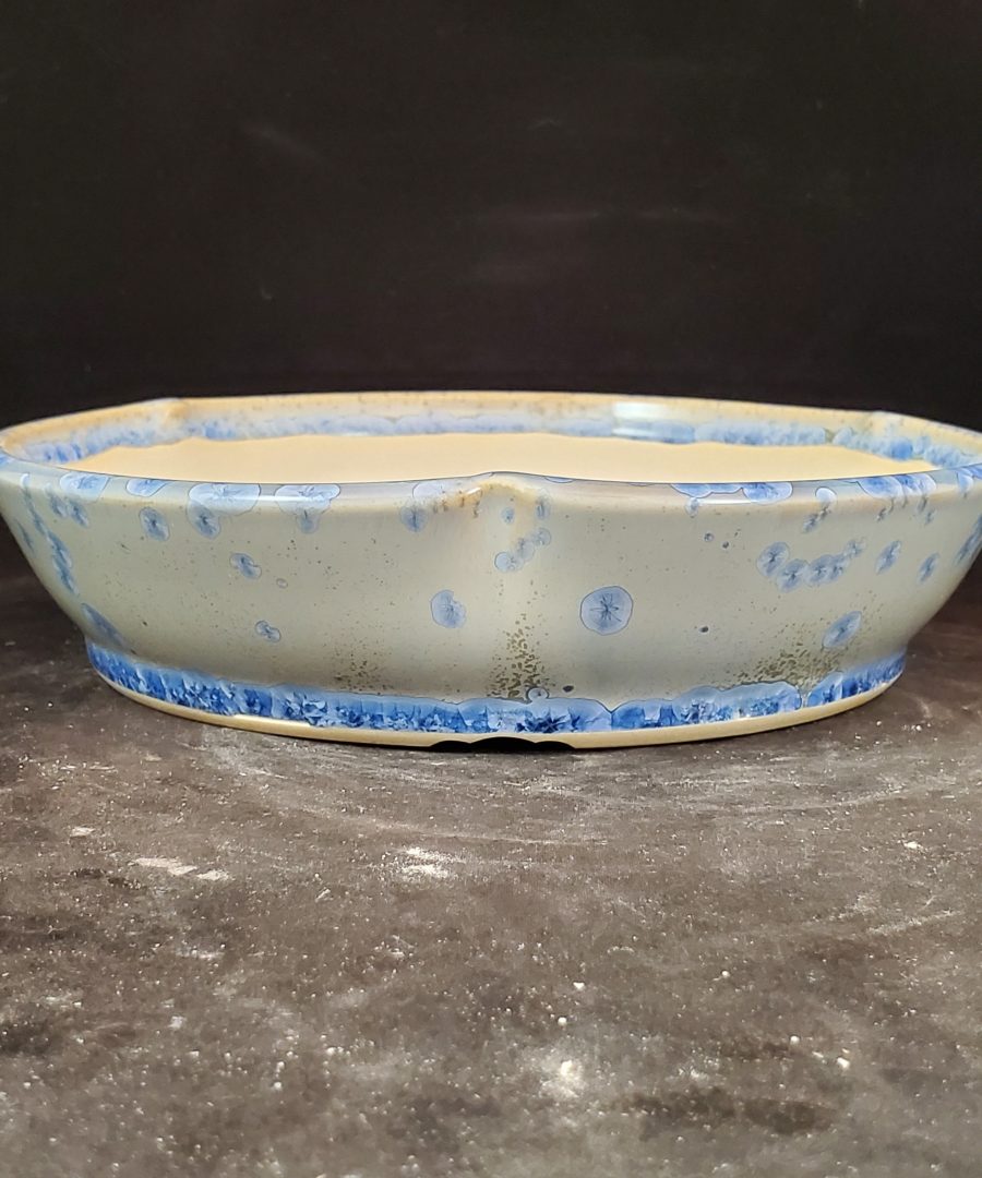 Organic-star Motif Scalloped-rim Ceramic Bonsai Pot