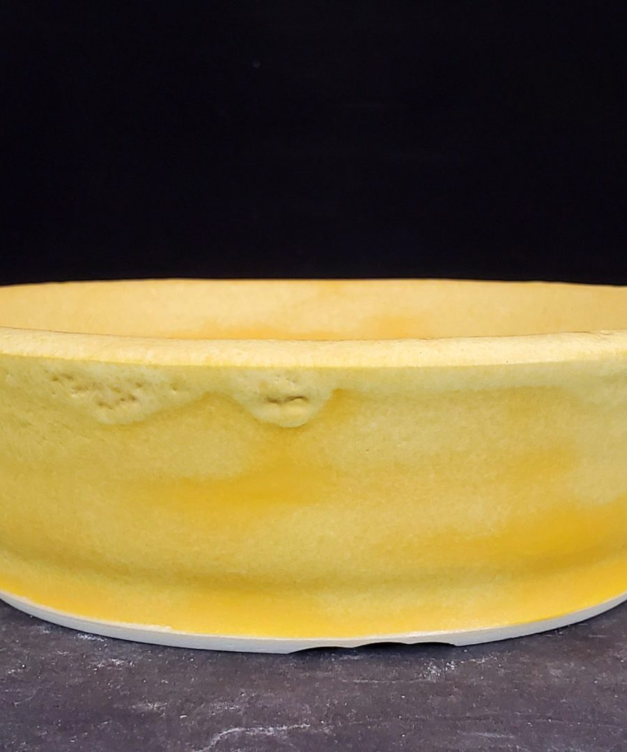 Bubbled-rim Ceramic Bonsai Pot