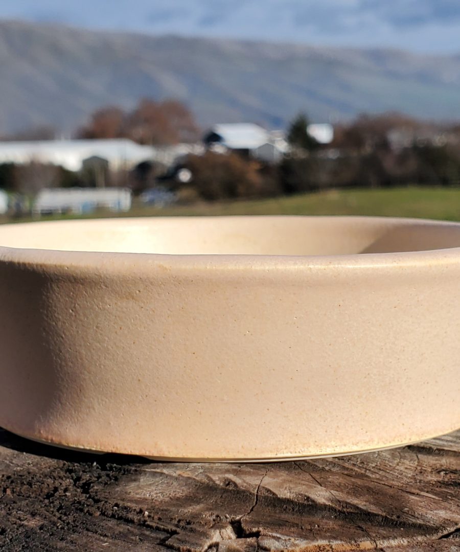 Minimalist Ceramic Bonsai Pot