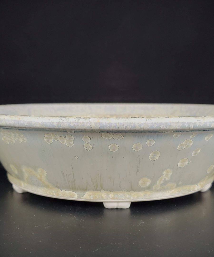 Abstract-plant Motif Crackled-rim Ceramic Bonsai Pot