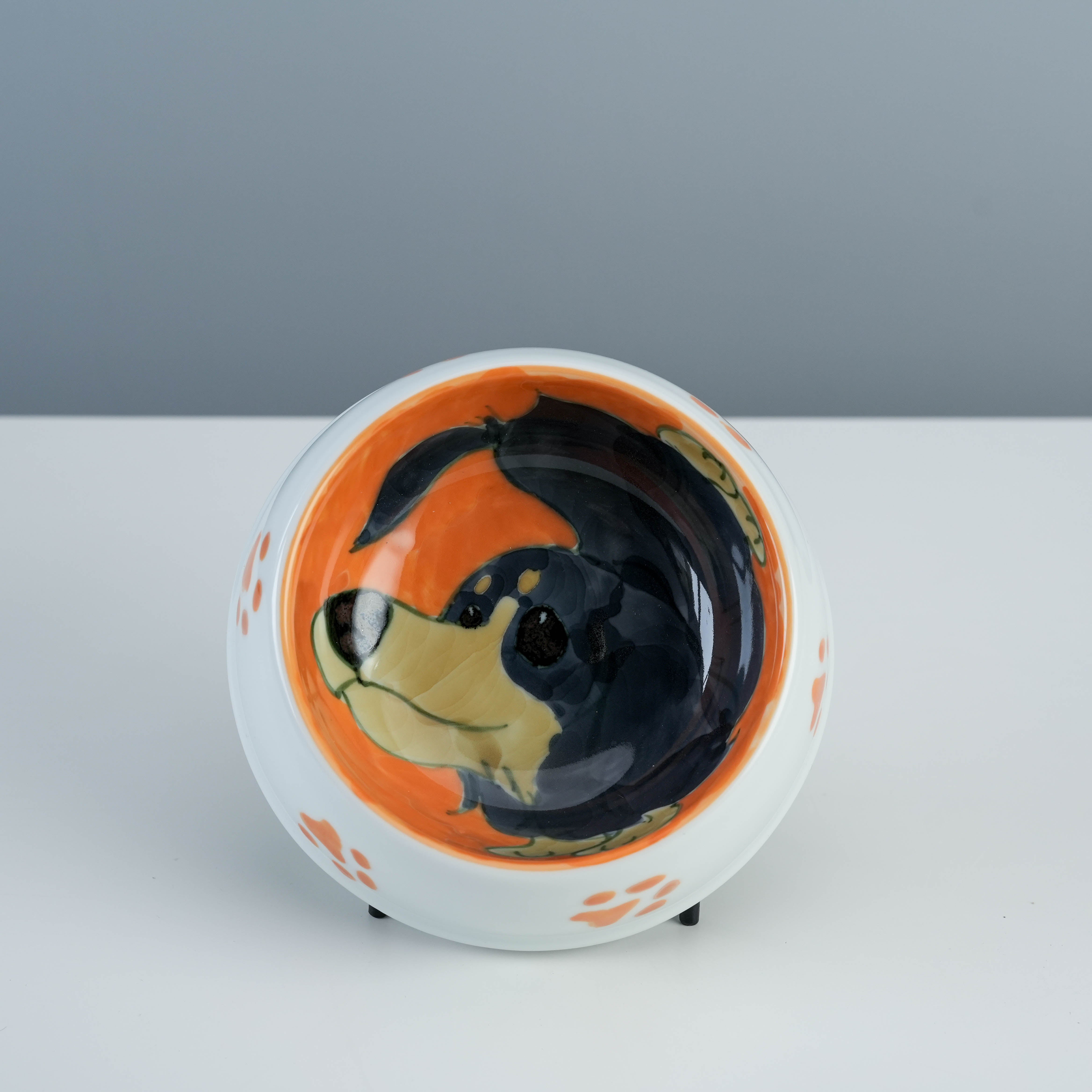 Dog - themed pet feeding bowl