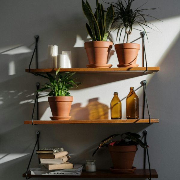 pexels-cottonbro-4503943