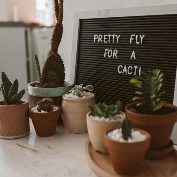 pexels-taryn-elliott-4099358